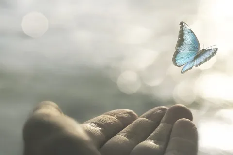 Growing Edges – Monday Message